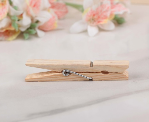 Набор прищепок деревянных 20 шт. 7х1 см 753052   						